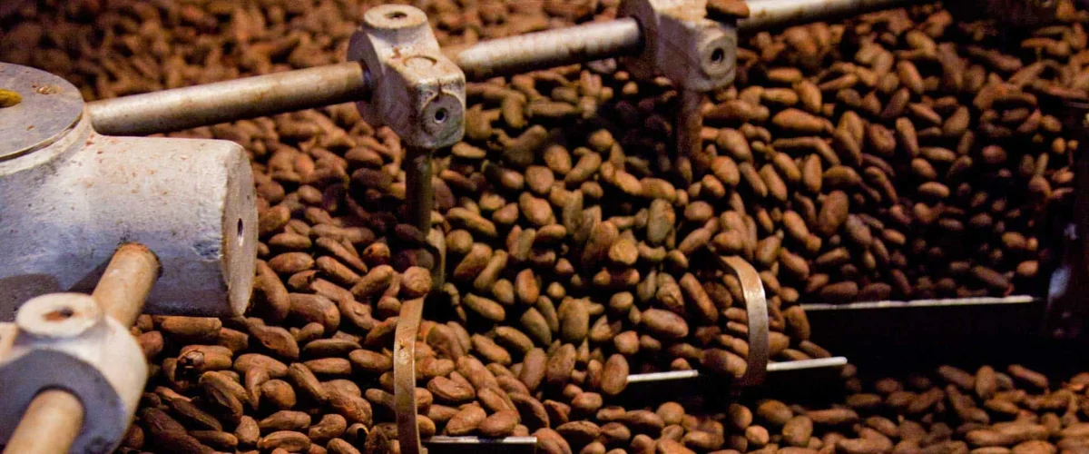 Cacao : quatre pays d'Afrique de l'Ouest s'unissent pour transformer localement leurs fèves