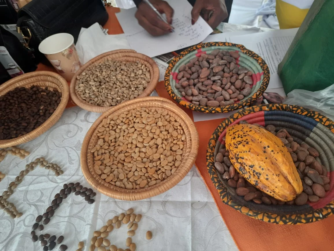 Crise du cacao : la RDC tente de contenir une onde de choc régionale