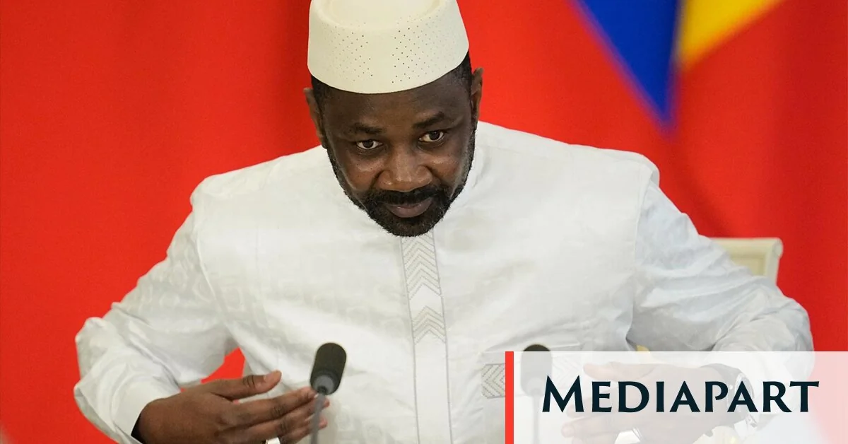 Mali : le silence de Niamey révèle les fractures de l'Alliance des États du Sahel