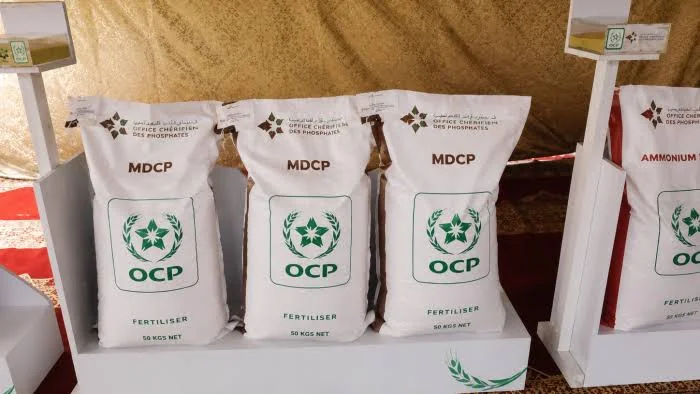 Phosphate marocain au Mali : un geste symbolique aux implications stratégiques
