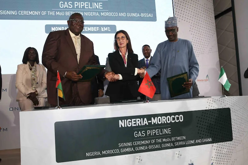 Nigeria au Conseil mondial de l'énergie : l'affirmation d'une souveraineté