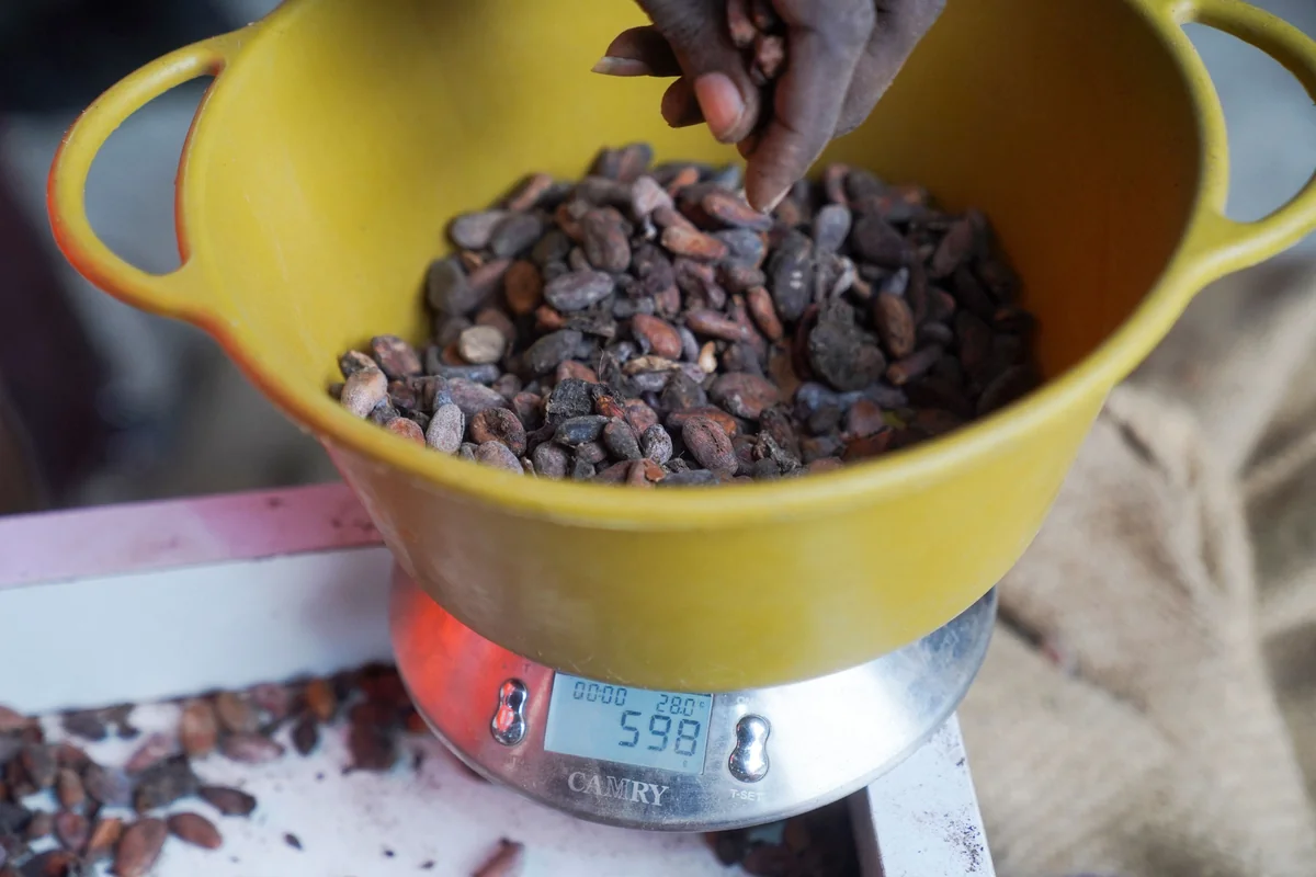 Cacao et uranium : l'Afrique de l'Ouest à l'épreuve de la souveraineté