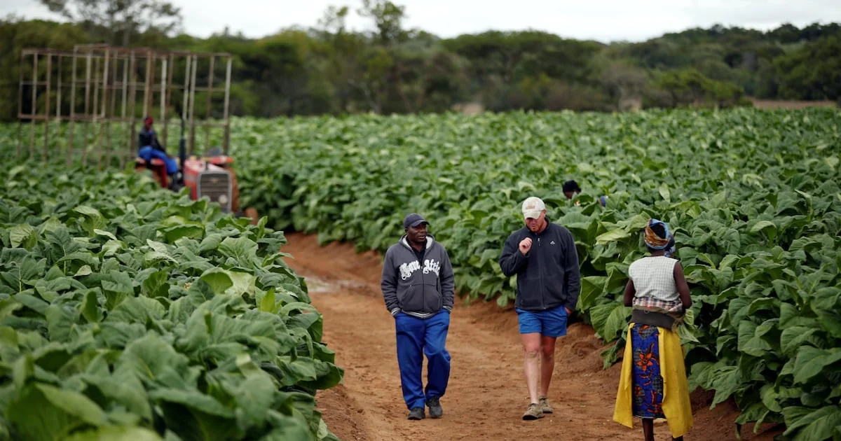 Zimbabwe : la restitution des terres aux investisseurs, un virage pragmatique