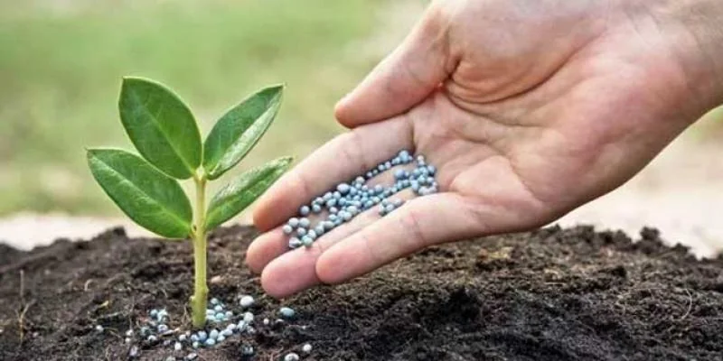 Phosphates : les États-Unis renforcent leur dépendance au Maroc, l’Afrique de l’Ouest cherche sa place