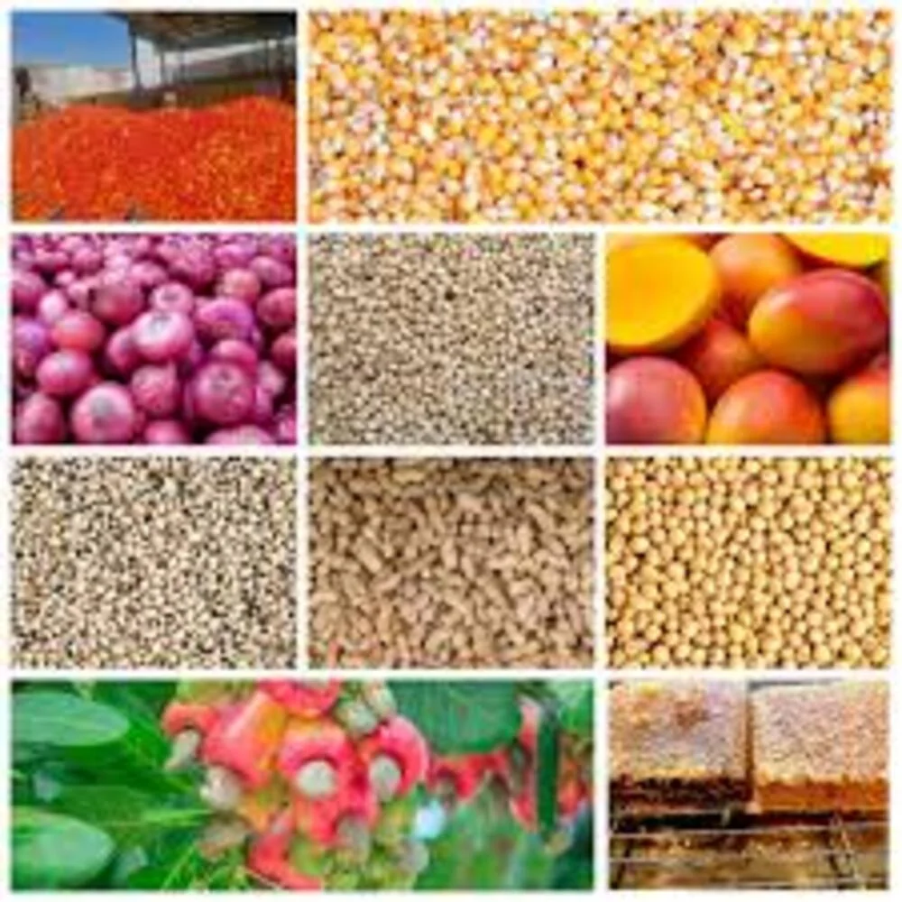 Indice FAO : la flambée des céréales met la souveraineté rizicole ouest-africaine à l'épreuve