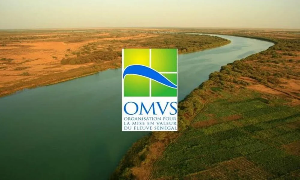 Le fleuve Sénégal, artère stratégique du Mali face aux défis sahéliens