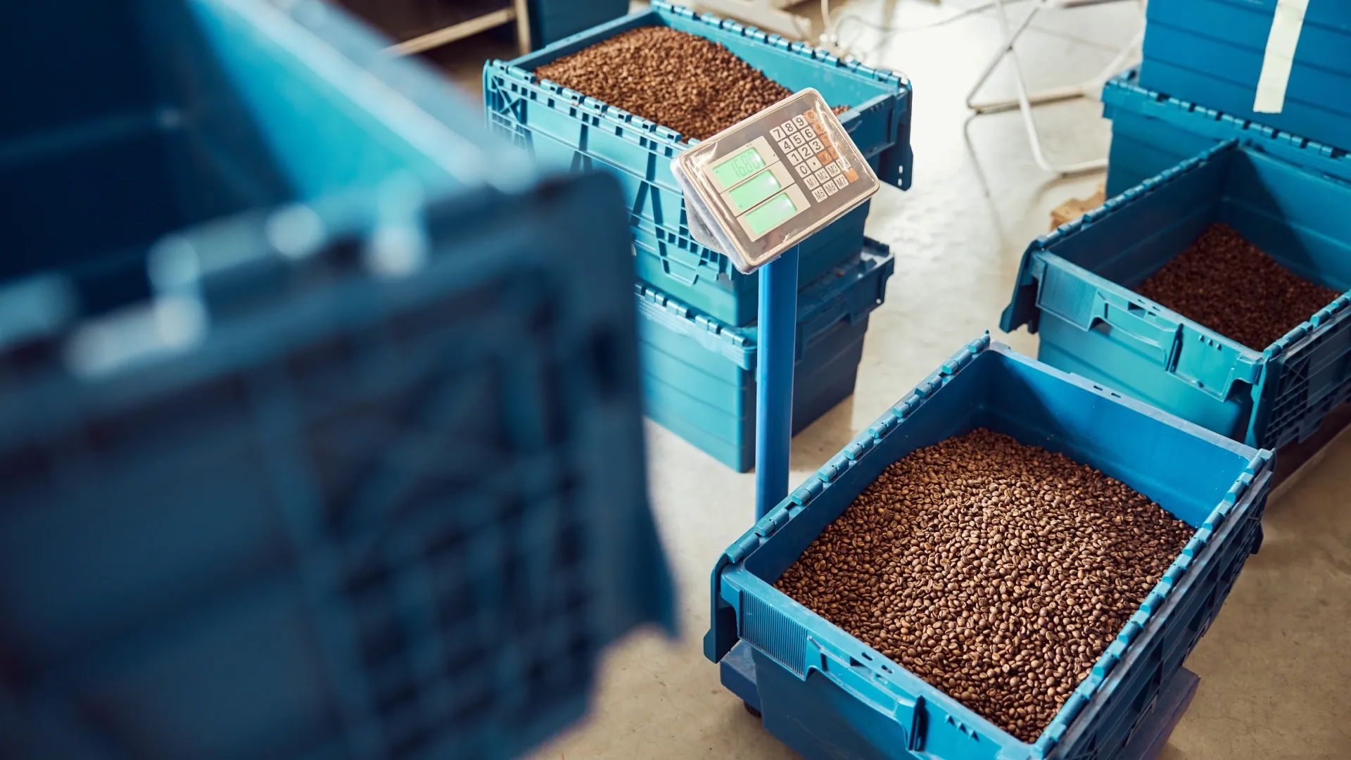 Le zéro droit de douane chinois rebat les cartes du cacao ouest-africain