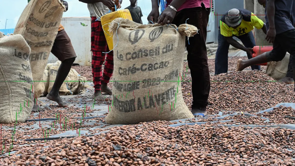 Cacao : la Côte d'Ivoire et le Ghana parient sur la transformation locale
