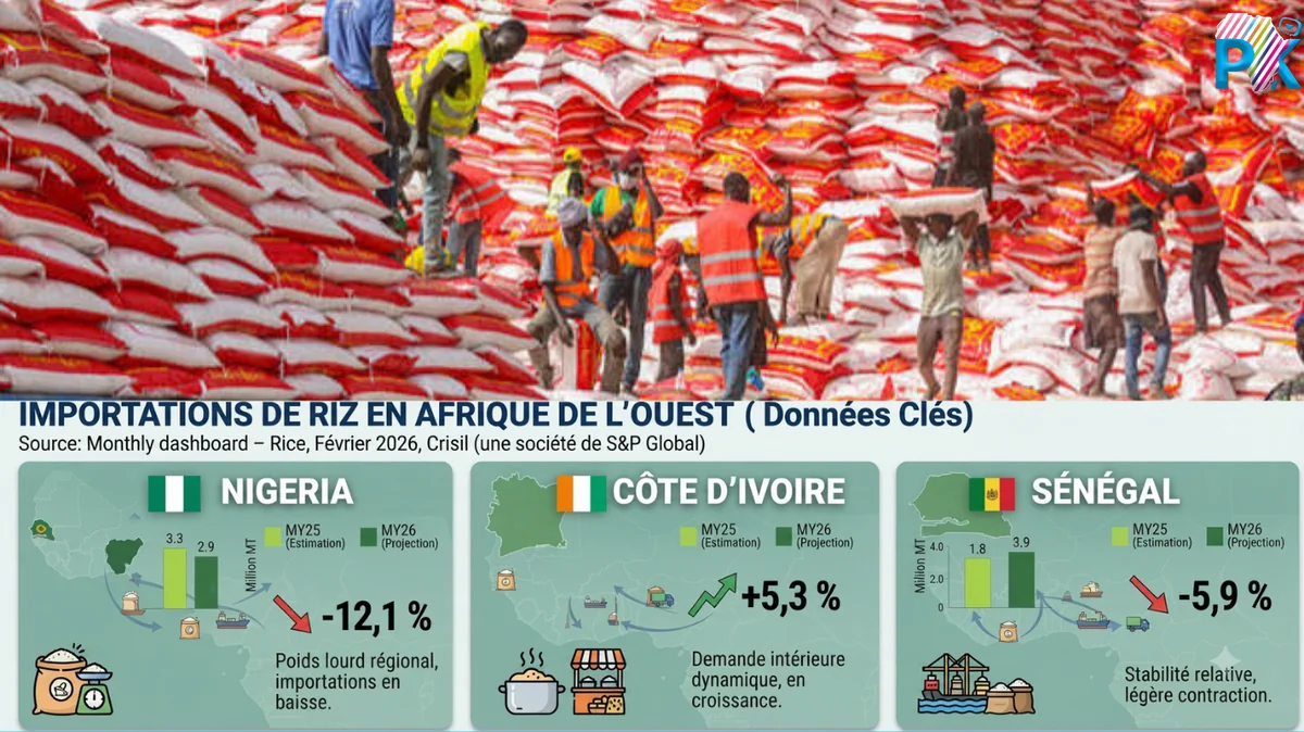 Importations de riz en Afrique de l'Ouest : la dépendance du trio Nigeria, Côte d'Ivoire, Sénégal