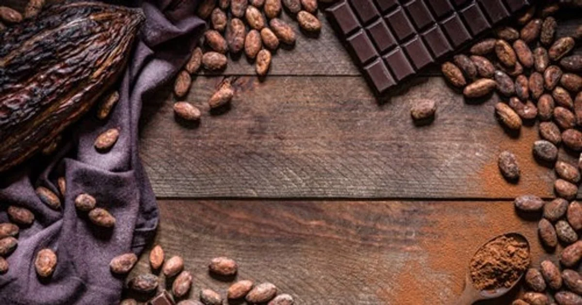 Cacao ivoirien : rebond de la production, mais stocks et prix créent une nouvelle équation