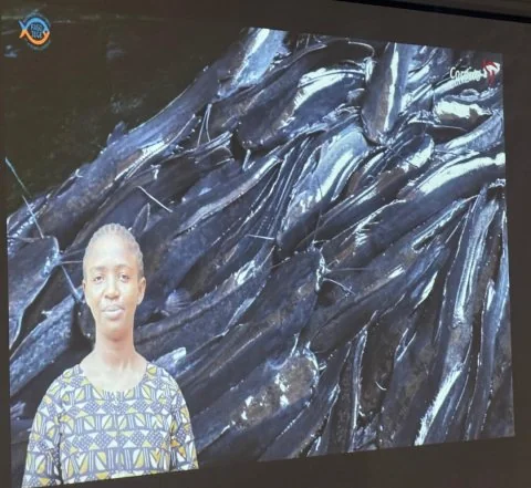 Au Burkina Faso, la pisciculture mise sur le numérique pour contourner l’insécurité