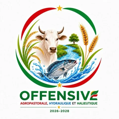 Souveraineté rizicole : le Burkina Faso double son offensive agropastorale