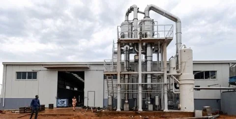Au Burkina Faso, l'usine de tomates de Tenkodogo symbolise la quête de souveraineté économique