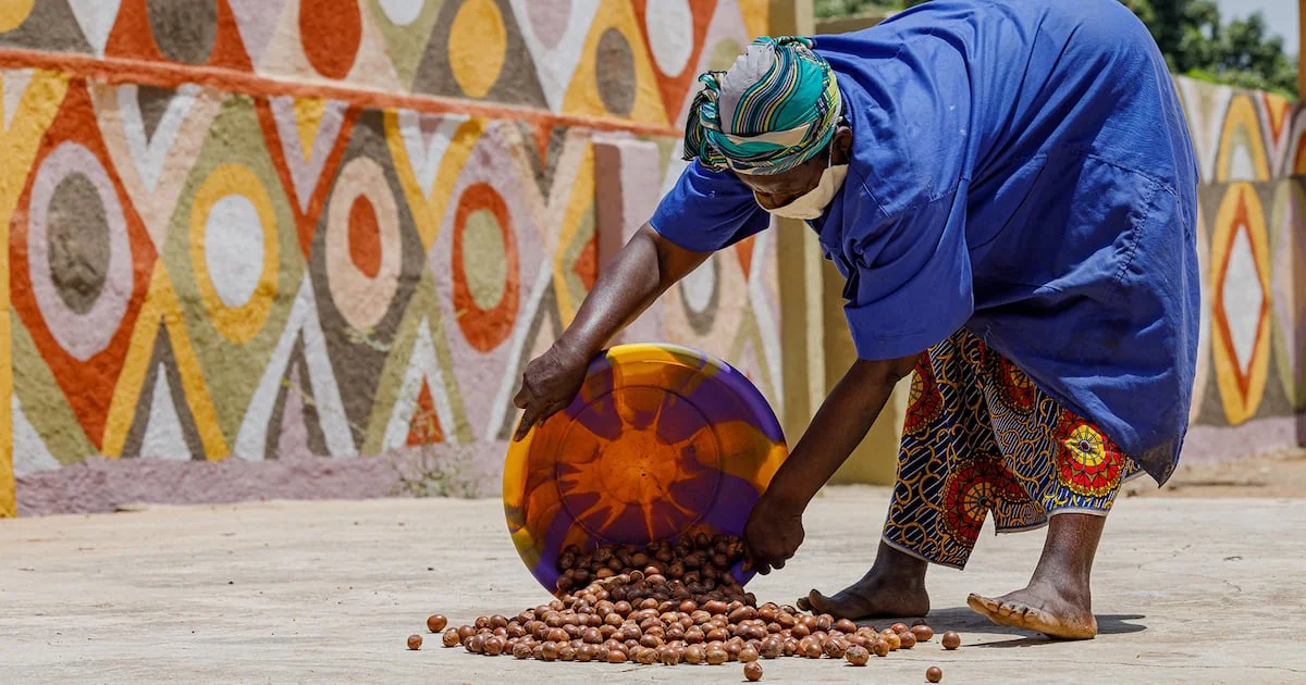 Souveraineté économique : le karité, modèle pour l'or burkinabè ?