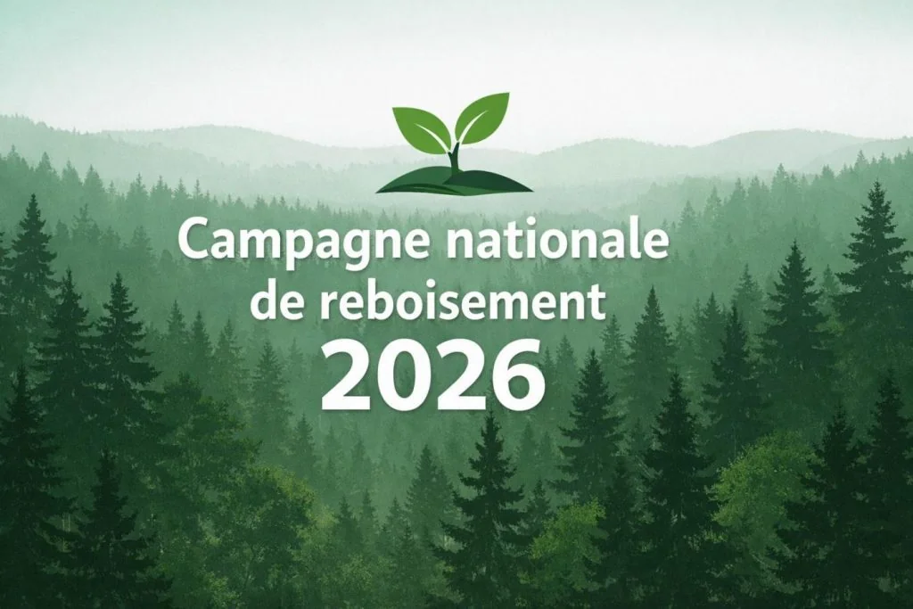 Togo : la reforestation comme levier économique et climatique