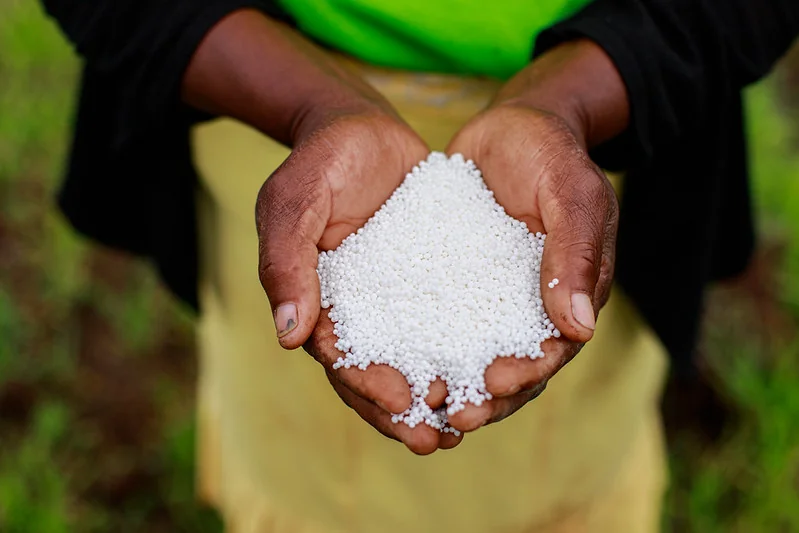 Togo: la PIA exporte 2600 tonnes d'engrais, un pari sur la souveraineté alimentaire régionale